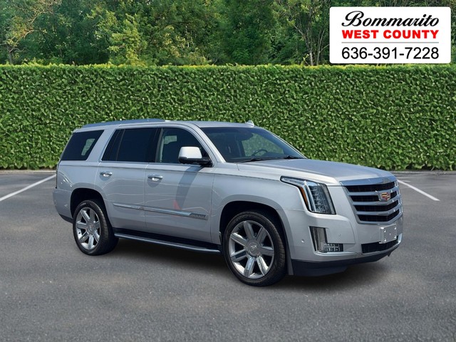 Ellisville MO 2019 Cadillac Escalade more details - cadillac escalade