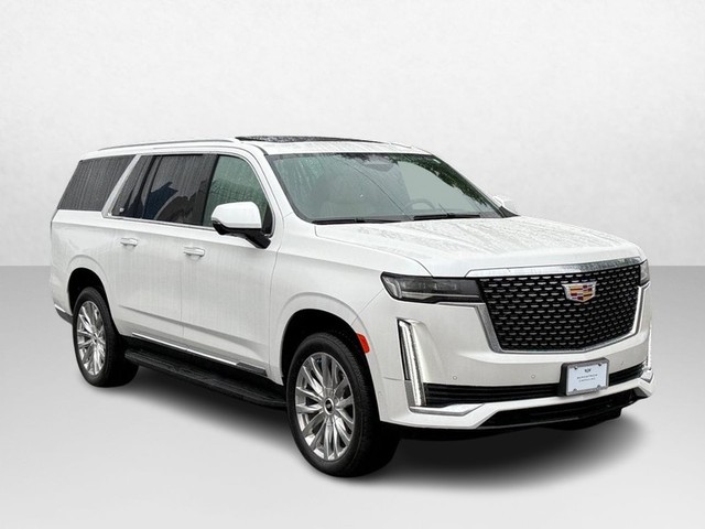 2024 Cadillac Escalade ESV Premium Luxury's photo