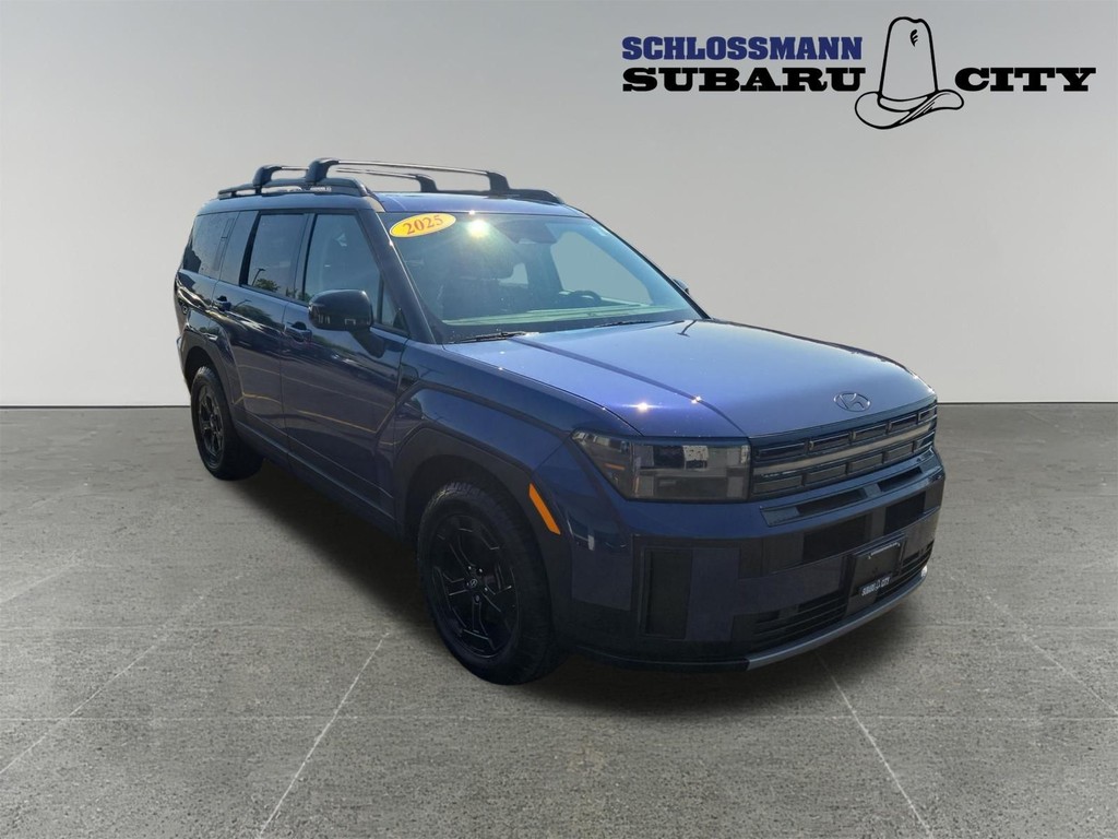 Hyundai Santa Fe Vehicle Full-screen Gallery Image 17