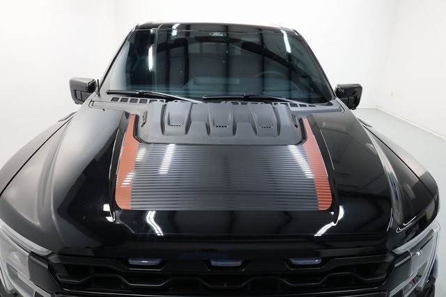 Ford F-150 Thumbnail Image 161