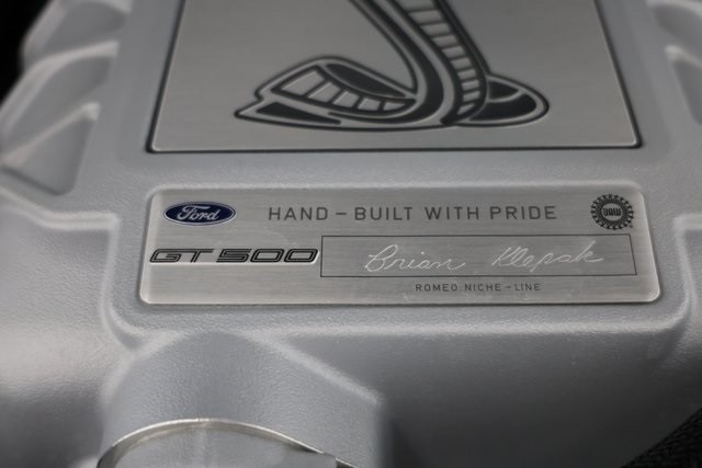 Ford Mustang Thumbnail Image 205