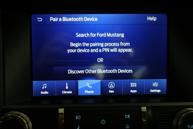 Ford Mustang Thumbnail Image 198