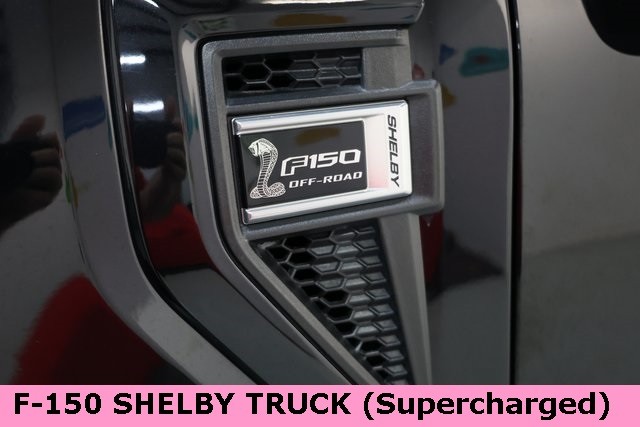 Ford F-150 Thumbnail Image 123