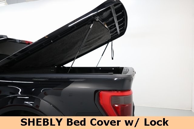 Ford F-150 Thumbnail Image 169