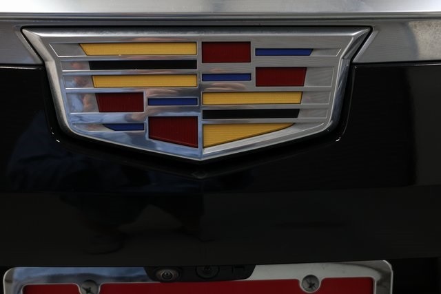 Cadillac Escalade Thumbnail Image 232