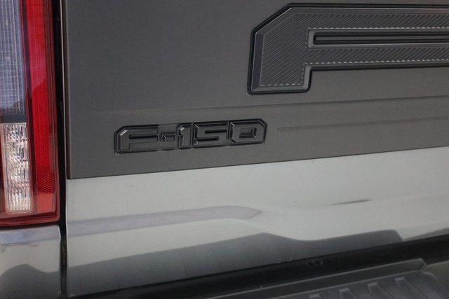 Ford F-150 Thumbnail Image 190