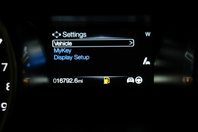 Ford Mustang Thumbnail Image 222