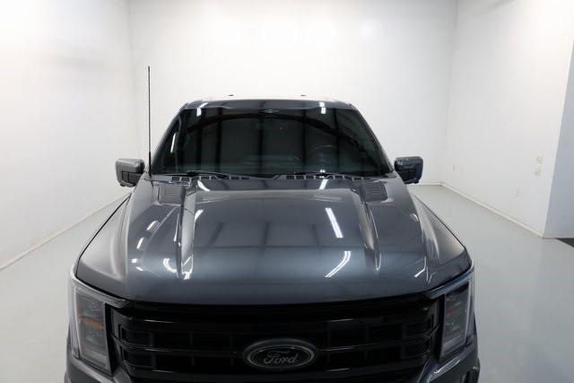 Ford F-150 Thumbnail Image 191