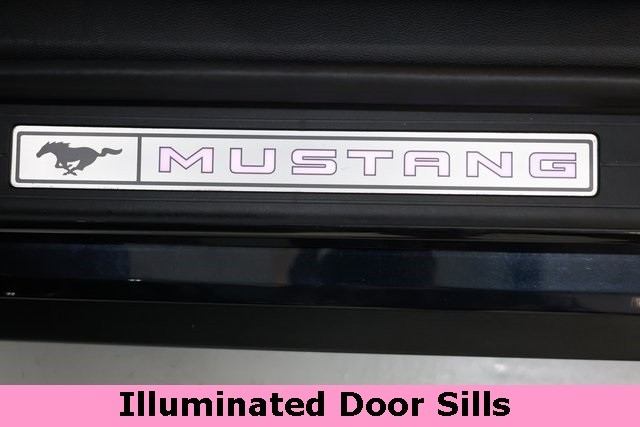 Ford Mustang Thumbnail Image 130