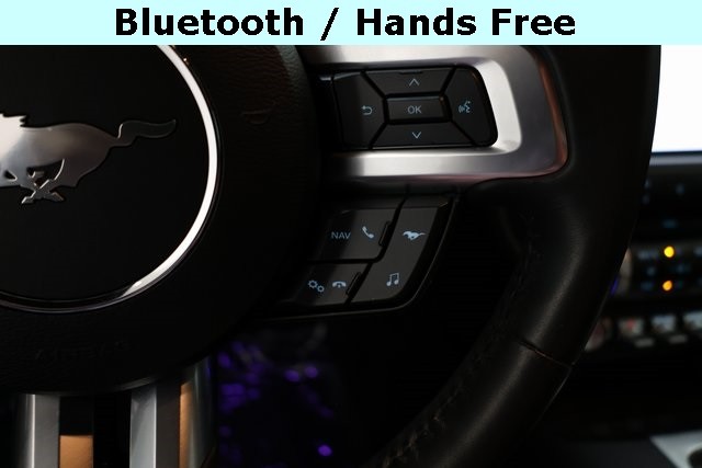 Ford Mustang Thumbnail Image 140