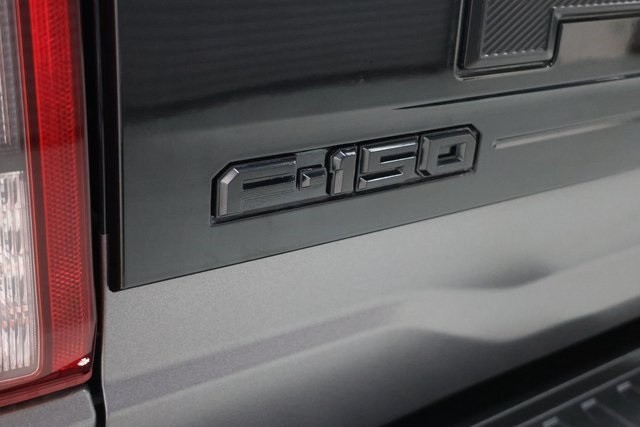 Ford F-150 Thumbnail Image 201