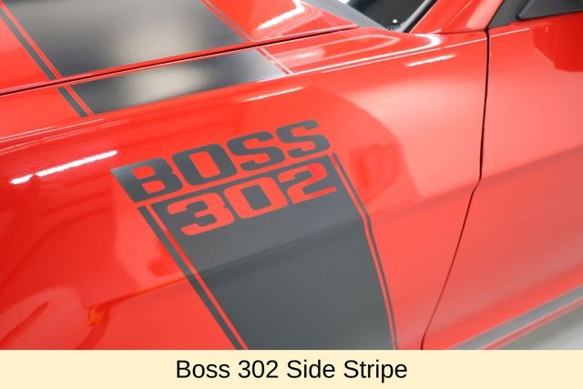 Ford Mustang Vehicle Image 14