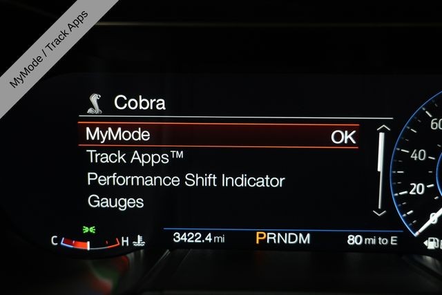 Ford Mustang Vehicle Image 36