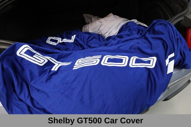 Ford Mustang Vehicle Image 49