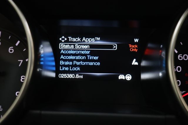 Ford Mustang Vehicle Image 100