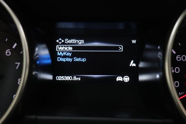 Ford Mustang Vehicle Image 102