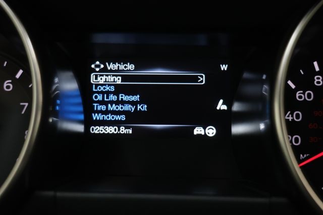 Ford Mustang Vehicle Image 103