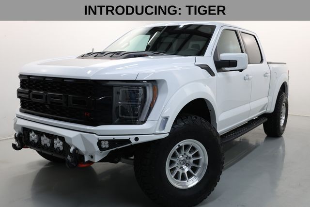 Ford F-150 Vehicle Image 02