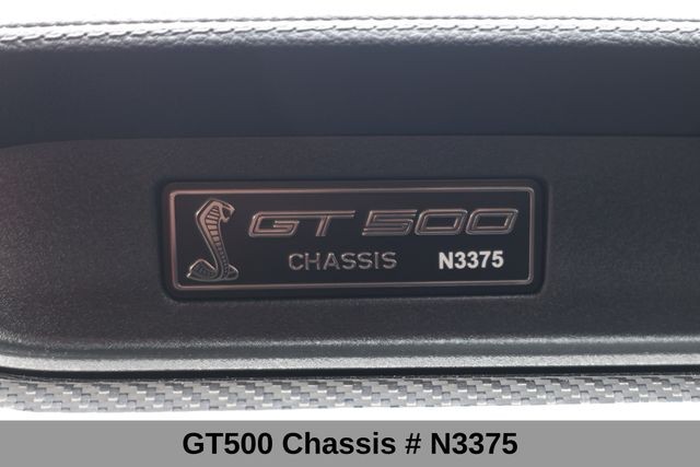 Ford Mustang Vehicle Image 08
