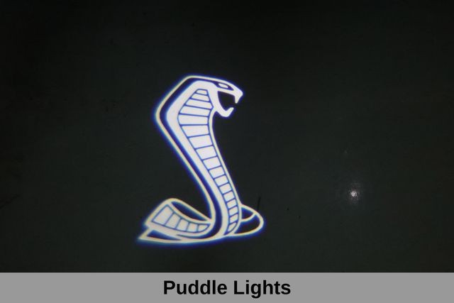 Ford Mustang Vehicle Image 35