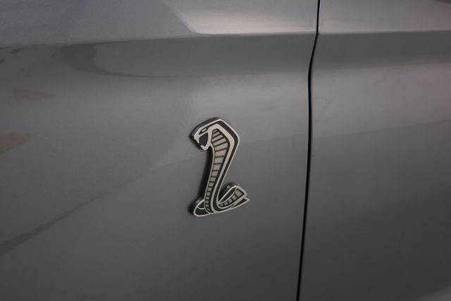 Ford Mustang Vehicle Image 79