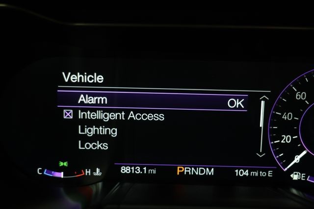 Ford Mustang Vehicle Image 100
