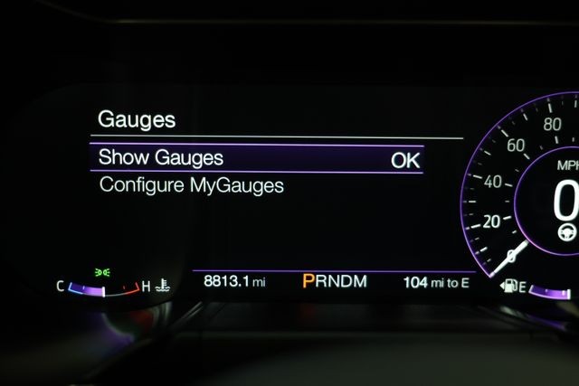 Ford Mustang Vehicle Image 103