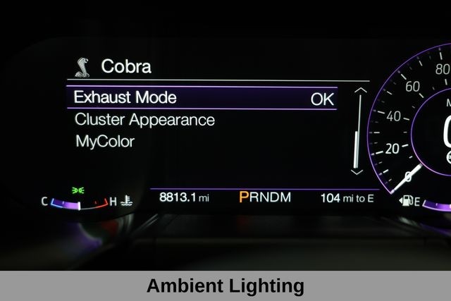 Ford Mustang Vehicle Image 33