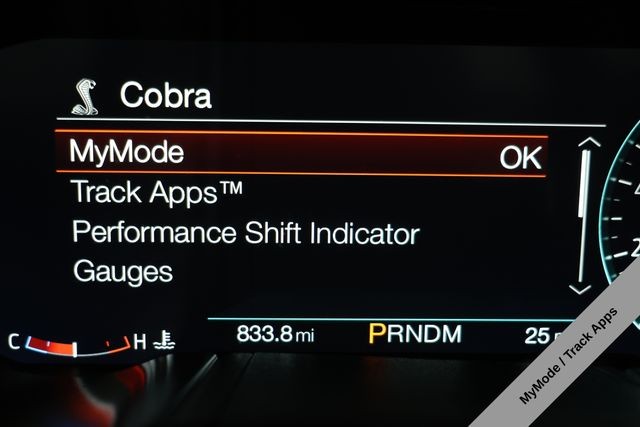 Ford Mustang Vehicle Image 32