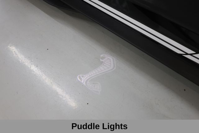 Ford Mustang Vehicle Image 33