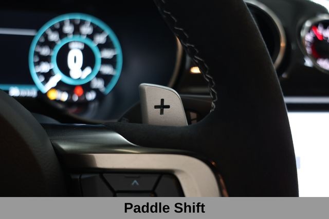 Ford Mustang Vehicle Image 39