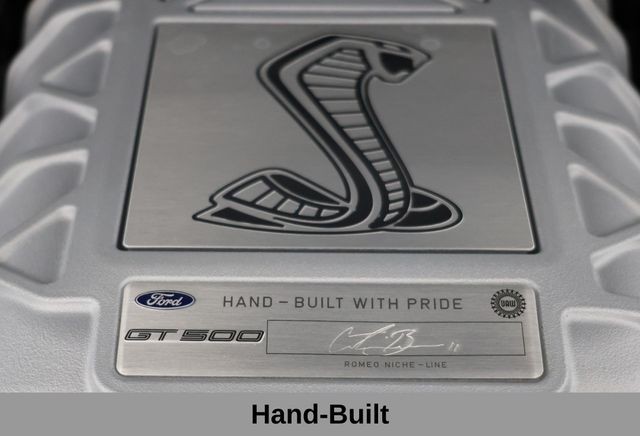 Ford Mustang Vehicle Image 08