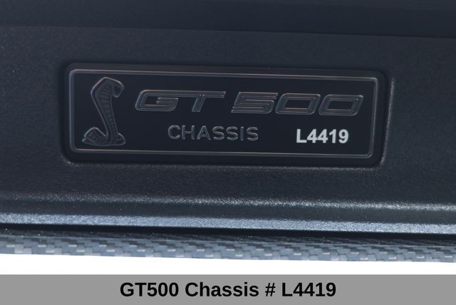 Ford Mustang Vehicle Image 09