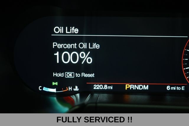 Ford Mustang Vehicle Image 11