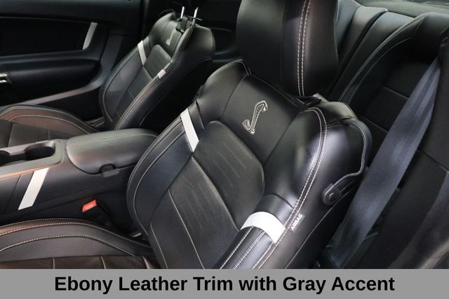 Ford Mustang Vehicle Image 19