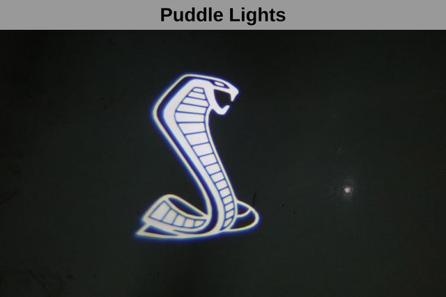 Ford Mustang Vehicle Image 33