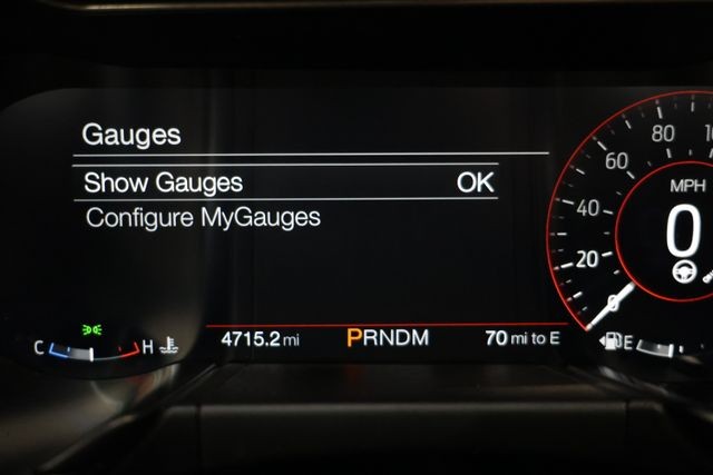 Ford Mustang Vehicle Full-screen Gallery Image 103