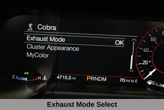 Ford Mustang Vehicle Full-screen Gallery Image 31