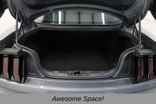Ford Mustang Vehicle Full-screen Gallery Image 49