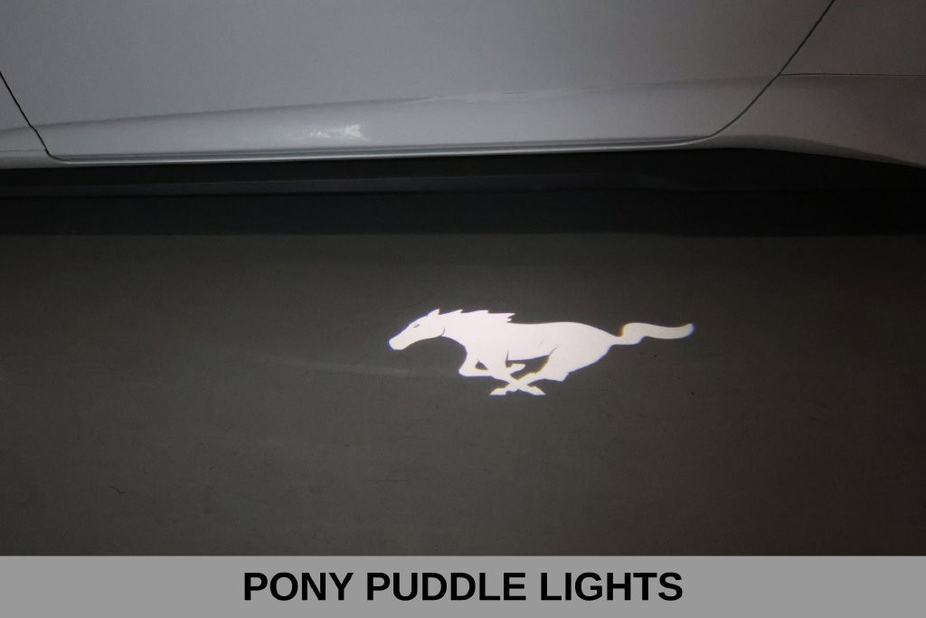 Ford Mustang Vehicle Full-screen Gallery Image 25