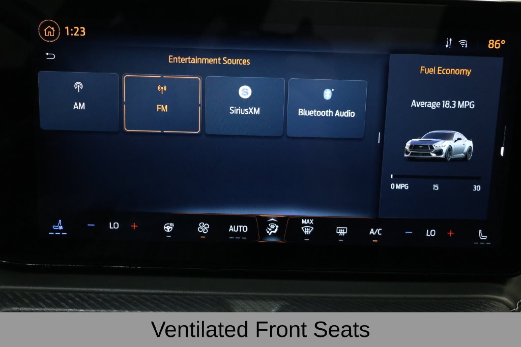 Ford Mustang Vehicle Full-screen Gallery Image 30
