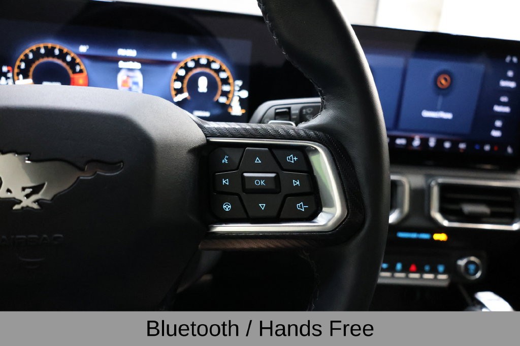 Ford Mustang Vehicle Full-screen Gallery Image 38