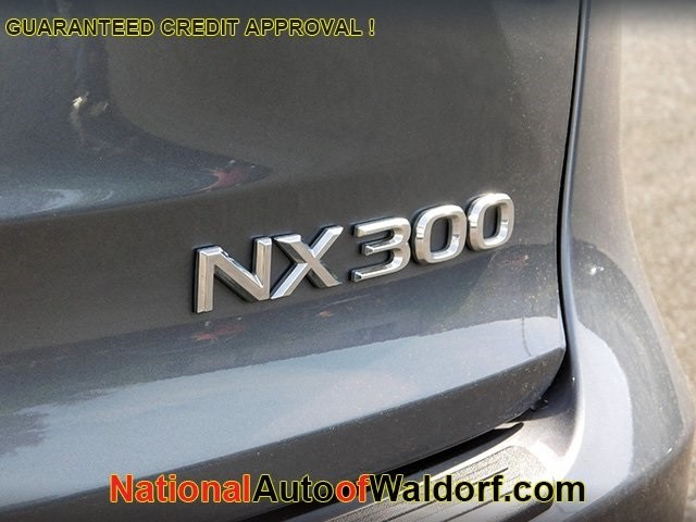 Lexus NX Vehicle Image 07