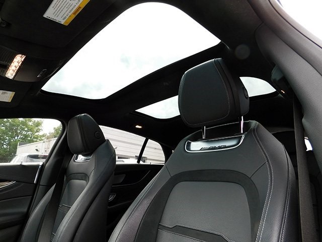 Mercedes-Benz AMG GT Vehicle Image 19