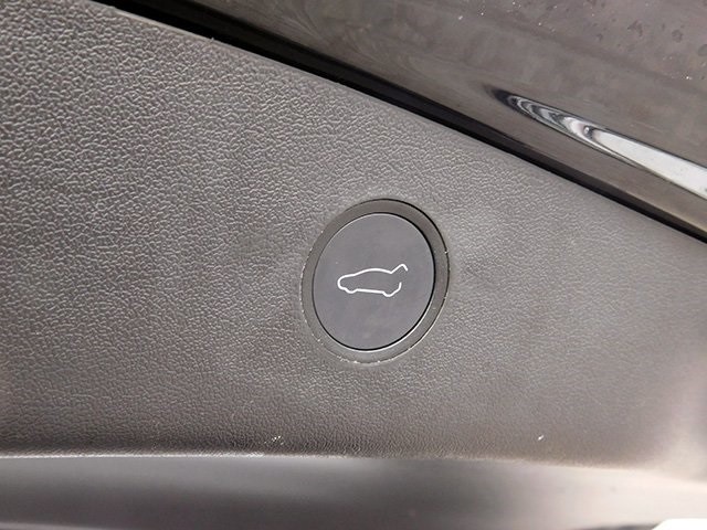 Tesla Model 3 Vehicle Image 08