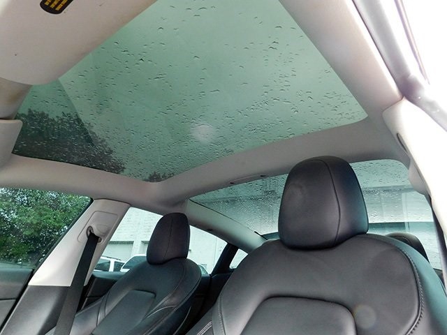 Tesla Model 3 Vehicle Image 16