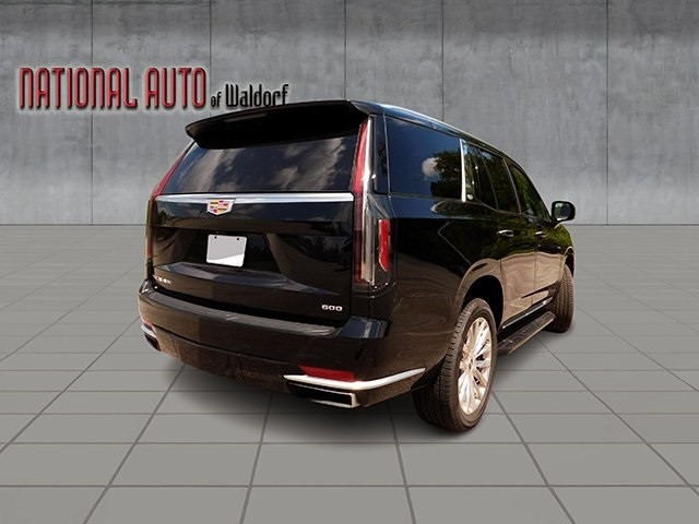 Cadillac Escalade Vehicle Image 05