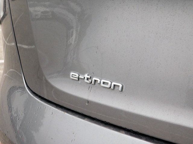 Audi e-tron Vehicle Image 07