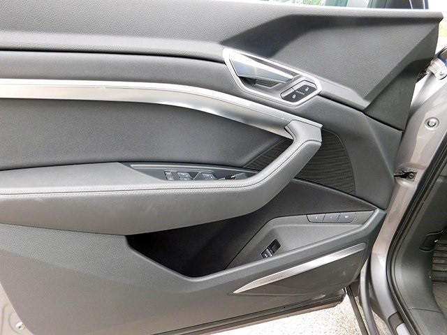 Audi e-tron Vehicle Image 16