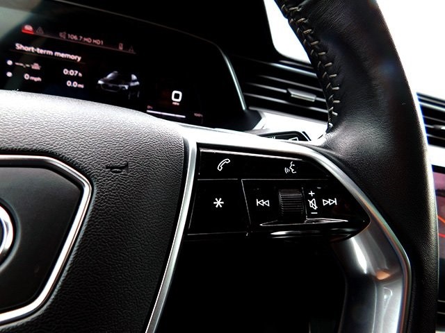 Audi e-tron Vehicle Image 24